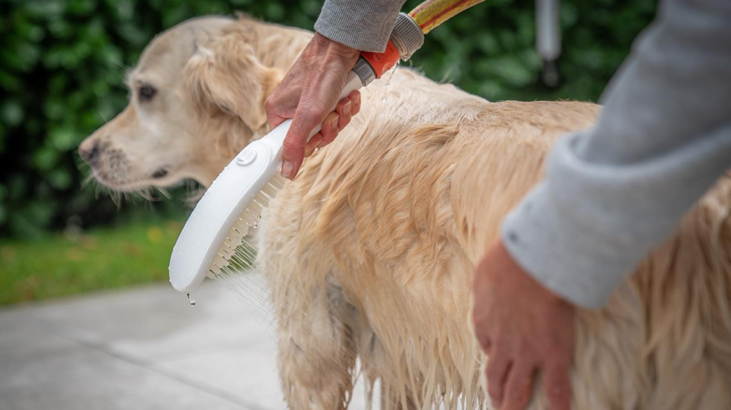 duchas para mascotas